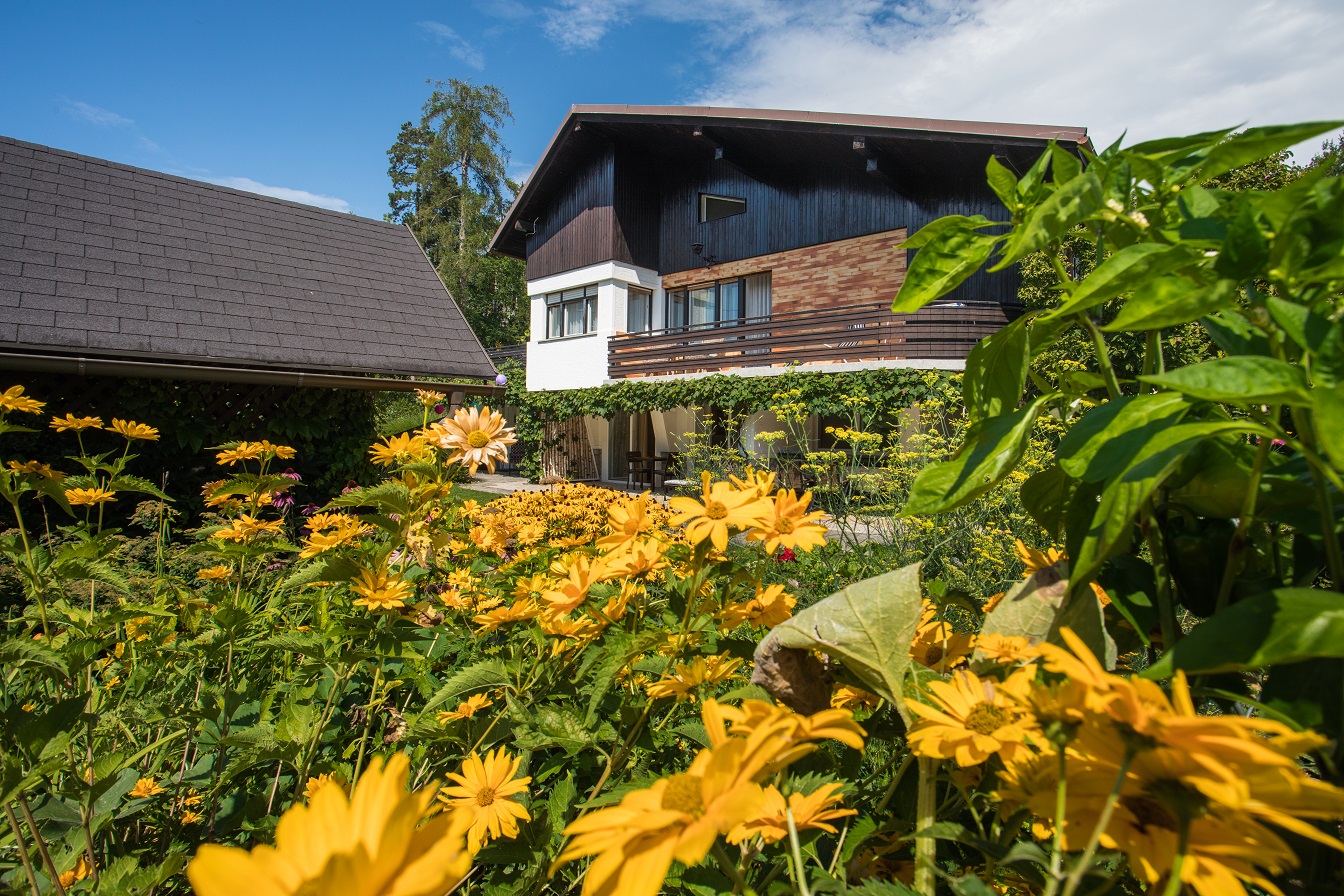 Apartments Poklukar Bled